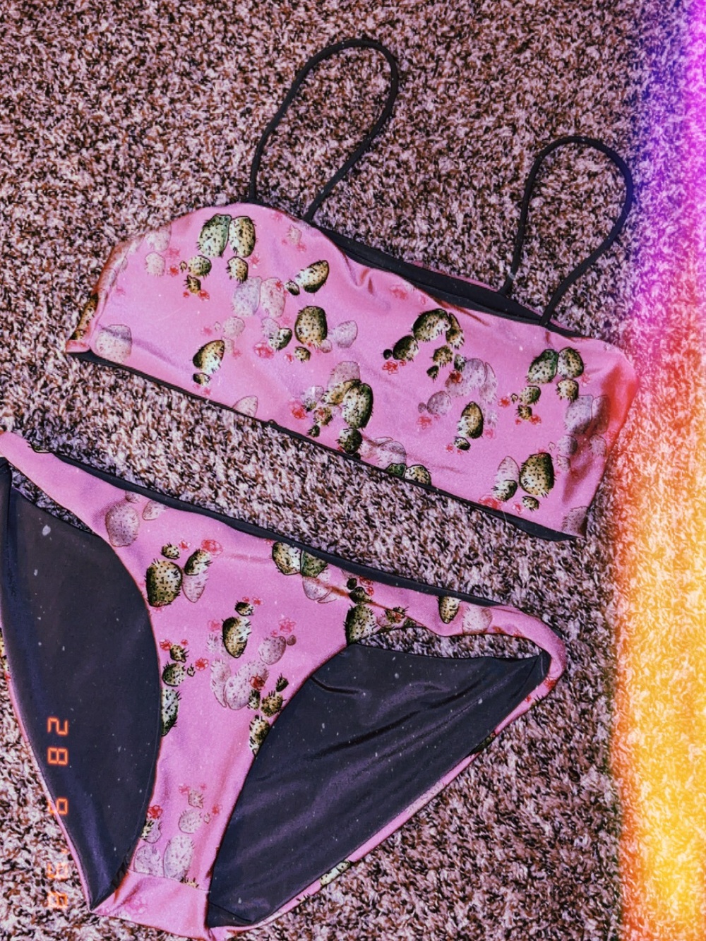 Pink Cactus Print Bikini Set